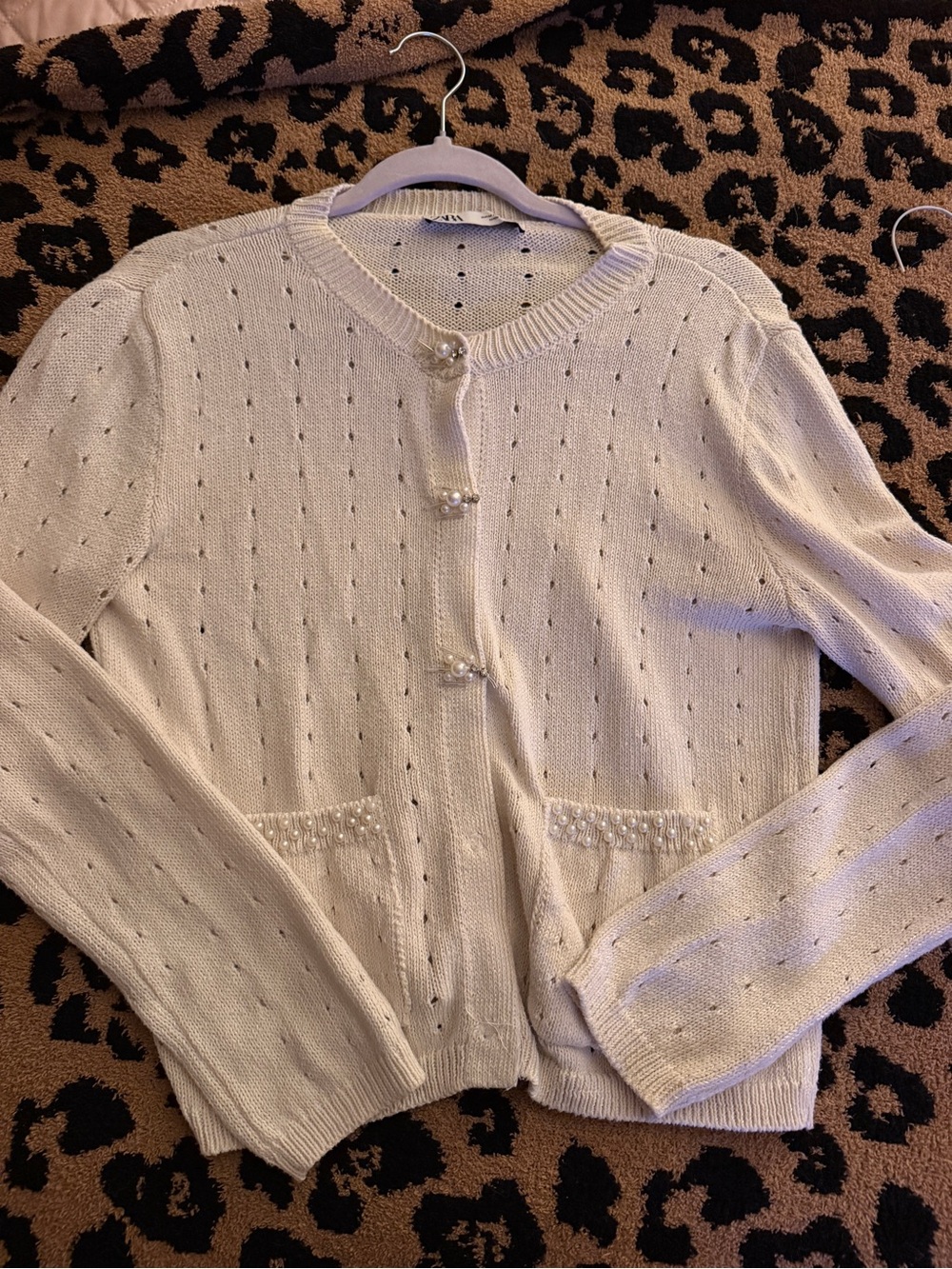Zara Cardigan